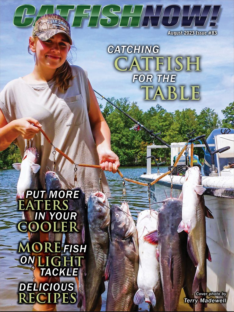 Break Out the Lights for Summer Catfish by Keith “Catfish” Sutton - Catfish  Now