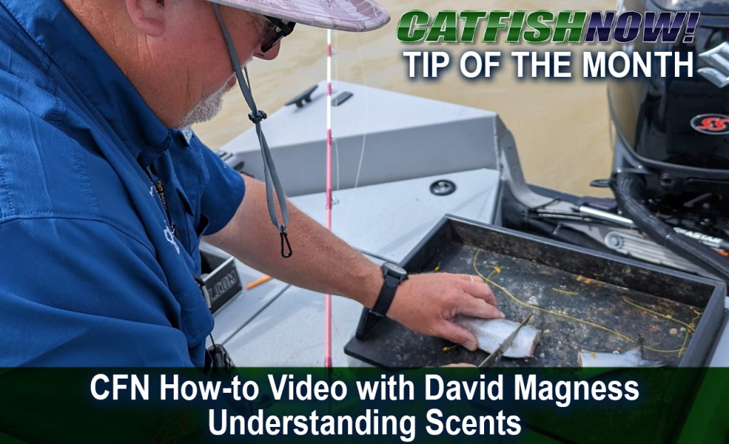 CFN How-to Video with David Magness—Understanding Scents