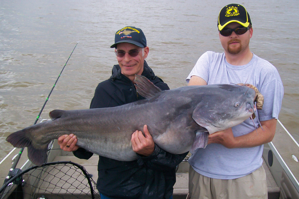 Veteran catfish guide Mike Mitchell (on right) rigs up with stout tackle and big baits for monsters, such as this 88-pound blue cat caught on the Tennessee River.
