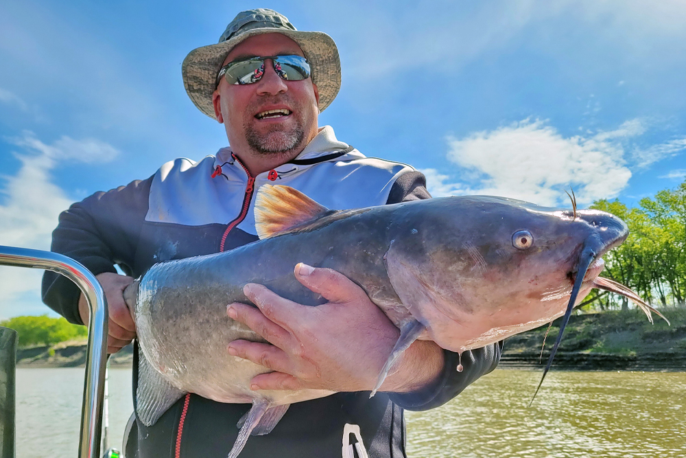 2021 produced a great trophy bite on the Red River of the North and being in the right place made all the difference. Cody Fahrmann just wanted a 20-pound channel cat. This was one of five on that day.