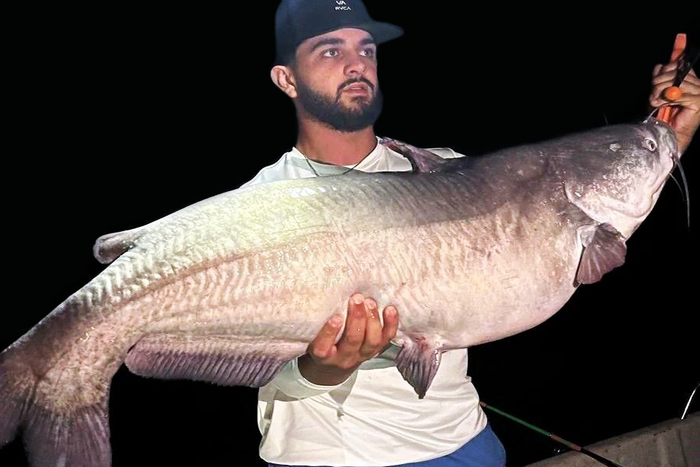 Chris Andrews’ night-time fishing