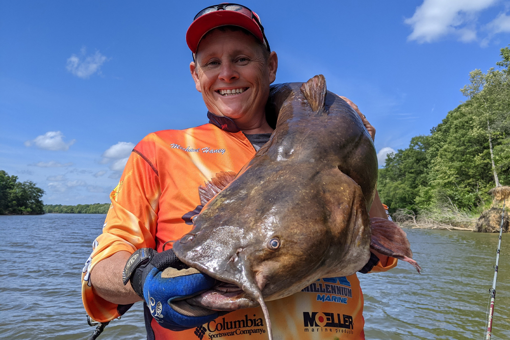 Fishing the currents for big-river flatheads may require manhandling big cats from the dense woody cover where they often hide to ambush prey. B’n’M Pro Staffer Michael Haney caught this brute in just such a spot on the Alabama River.