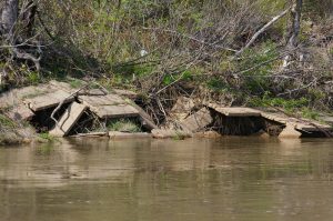 Areas of revetment/riprap on big river banks are hotspots for flatheads. When this revetment is underwater, the cavities created by buckles will harbor flatheads.