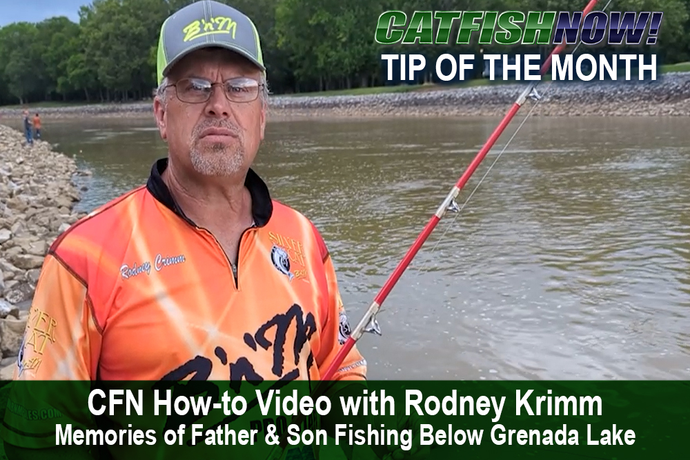 CFN How-to Video with Rodney Krimm
