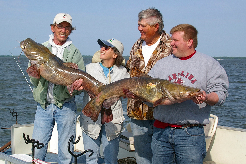 Trolling works great for putting some dandy catfish in the boat—winter, spring, summer and fall.