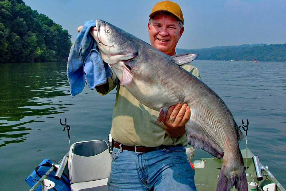 Why We Catfish By Capt. Richard Simms
