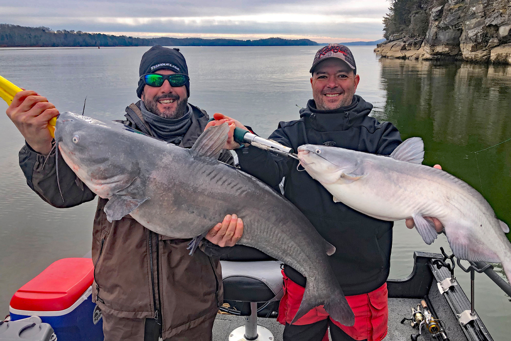 (l-r) Capt. Todd Arganti and Capt. Denny Sharrone are walleye-fishing guides on Lake Erie, so obviously they are not afraid of a little cold weather. They occasionally find their way south to fish the Tennessee River, landing this respectable blue catfish double on January 22.