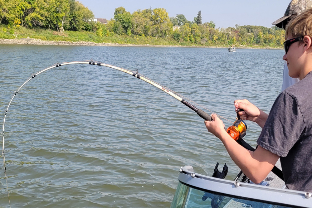 Which Color Catfish Rod Catches More Fish? by Brad Durick