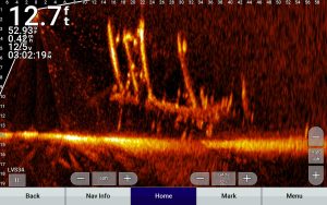Live-imaging sonar produces real-time imaging of the spot where the sonar beams are pointed, allowing anglers to pinpoint brush piles.