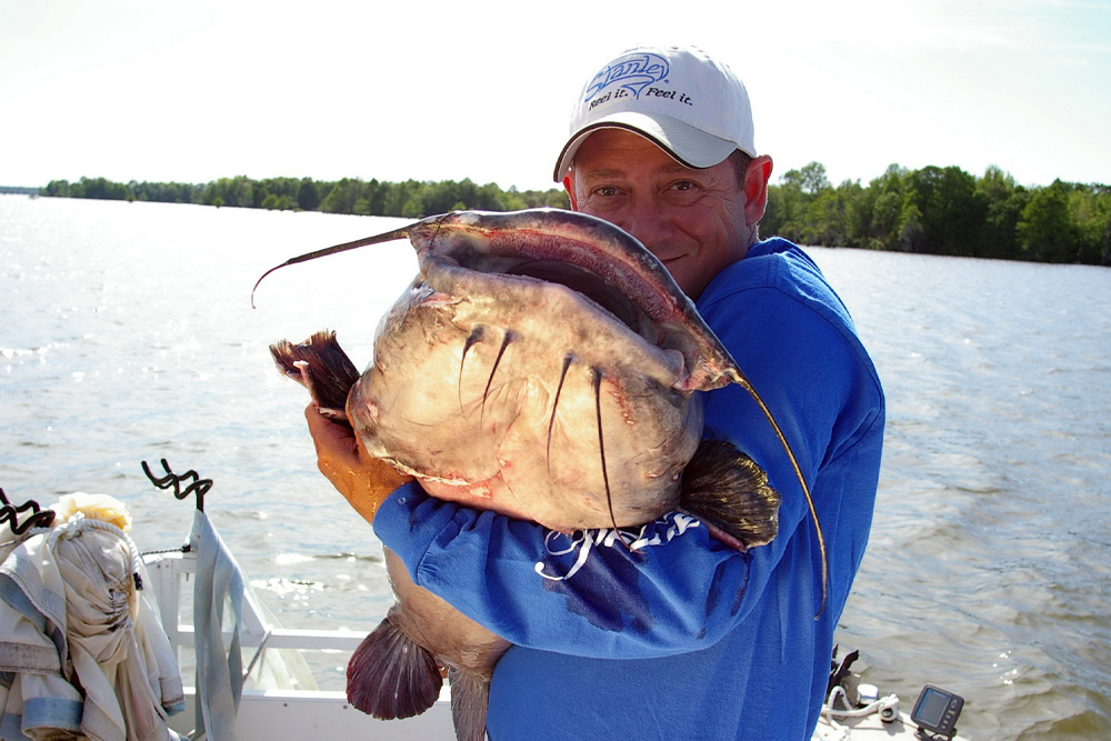 The Maryland Department of Natural Resources has launched a statewide campaign to teach citizens about the impact of blue and flathead catfish and encourage anglers to remove these invasive species from local waters