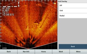 LIS grid lines are horizontal and vertical lines overlaying the sonar image.