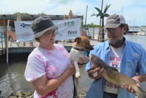 Grassroots tournaments attract couples, dogs and cats.