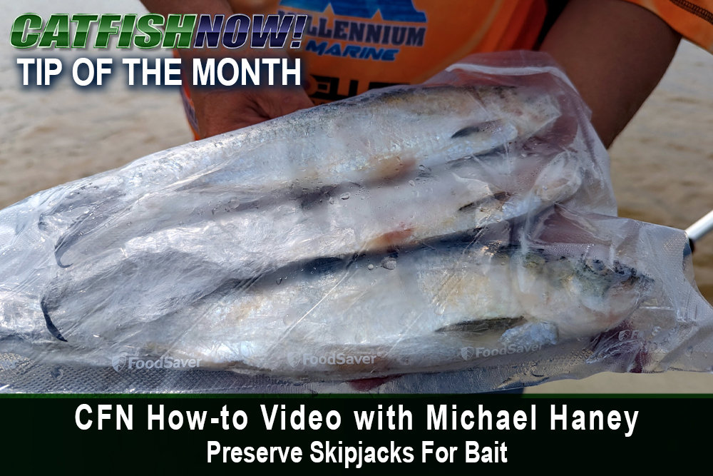 CFN How-to Video with Michael Haney