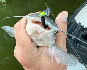 The standard fly Tyler Dykes uses regularly for catfish. (credit: Anietra Hamper)
