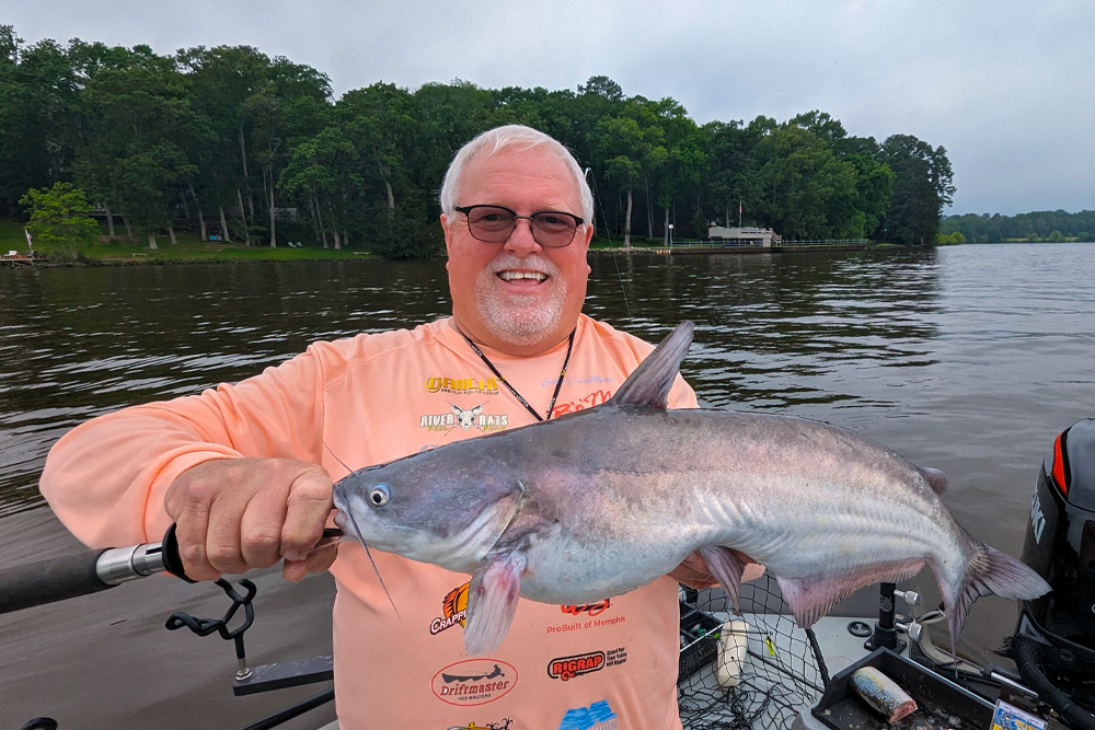 Catfish guide David Magness of Hernando, Mississippi displays a blue cat of a size typically caught in Ross Barnett Reservoir. Bigger catfish swim here but are much less common than eating-size fish such as this.