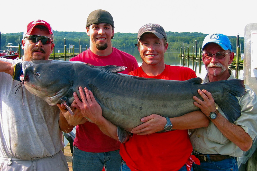 Can 84-Pound Maryland Record Be Topped?