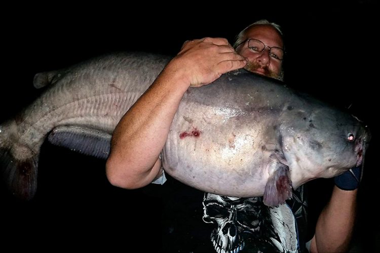 Although Arwood favors flatties, he doesn’t mind pulling on blues. This is his PB blue of 55 pounds from the James River.