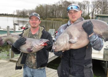 Blacks Camp, catfish, tournament, King Kat
