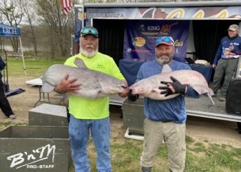 catfish, tournament, blue catfish