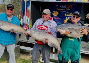 catfish, tournament, blue catfish