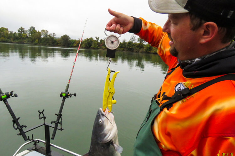 Ty Konkle [FV-Catfishing] chooses Driftmaster two position rod holders on his custom rod bar. He sets the B’n’M rods at the 30-degree to suspend or as shown in this photo, at the 50-degree position to anchor fish.