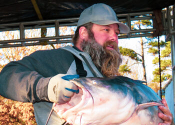 Justin Neese and his cousin, Jase Gore, are shown holding Justin’s personal best 107-pound blue cat back in 2017. The big cat is definitely one of the Missouri River’s old-timers.