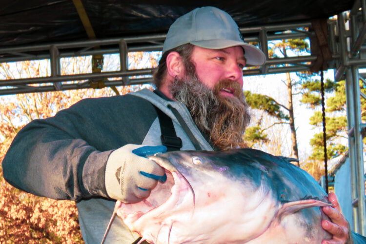 Justin Neese and his cousin, Jase Gore, are shown holding Justin’s personal best 107-pound blue cat back in 2017. The big cat is definitely one of the Missouri River’s old-timers.