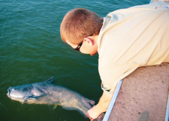 Renowned New York-based fly fisherman, author and film maker Lee Wulff was promoting catch and release as early as 1936 with the phrase, “Game fish are too valuable to be caught only once.” That saying applies to catfishing as much as fly fishing and is applicable just as much today as in those early years. (Photo: Keith “Catfish” Sutton)
