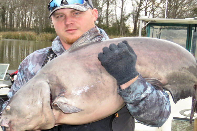 Jim Page is shown with the 60-pound blue that led him to refit his livewell with a new recirculating pump and aerator so he could keep fresh water in the well at all times.