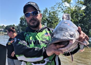 catfish, tournament, Wateree, King Kat