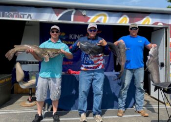 catfish, blue catfish, flathead, trophy, tournament