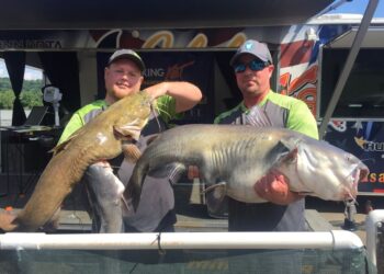 catfish, tournament, Ohio, King Kat