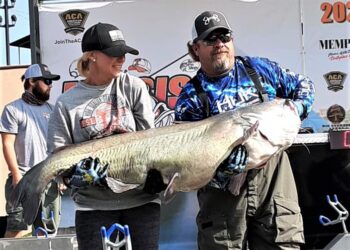 catfish, blue, flathead, tournament, Memphis, TN, Mississippi River, Mississippi River Monsters