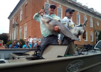 catfish, tournament, WCC, Savannah, Tennessee, blue cats, flatheads, fish care, skipjack