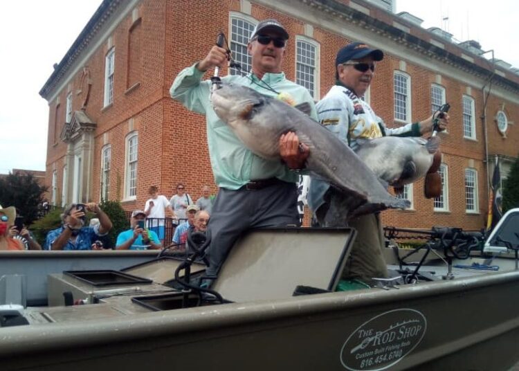 catfish, tournament, WCC, Savannah, Tennessee, blue cats, flatheads, fish care, skipjack