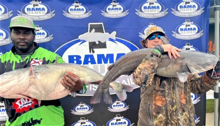catfish, tournament, blue cat, flathead, channel cat, Bama Blues, Tennessee River, Chris Ramsey, Cory Ramsey