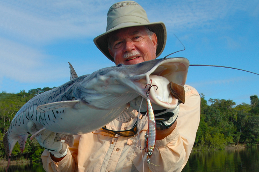 “The Painted Catfish of South America” by Larry Larsen