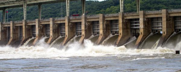 Tennessee River, Wilson Lake, Wheeler Lake, Alabama, TVA catfish, bule cat, flathead, channel cat