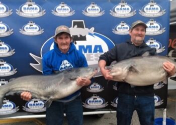catfish, tournament, Bama Blues, blue cat, flathead, Wheeler Lake, Donnie Fountain, Lonnie Fountain, Chad Mayfield, Jason Frost, Doug Walker, Jack Woodall, Cory Ramsey, Chris Ramsey, Rogersville, Alabama