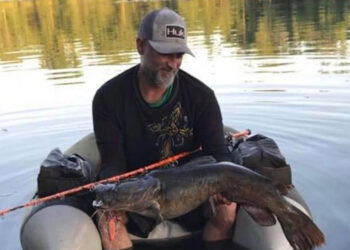 flattie caught on an artificial