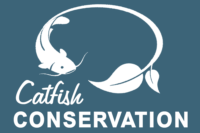 Blue button on home page for catfish conservation