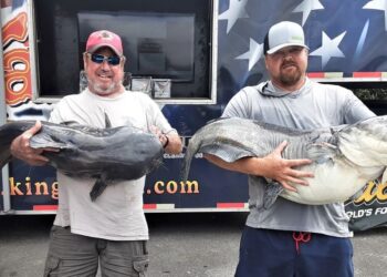 catfish, tournament, blue cats, wheller lake, wilson lake, alabama,