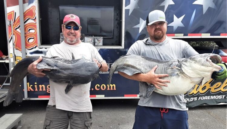 catfish, tournament, blue cats, wheller lake, wilson lake, alabama,