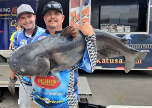 catfish, tournament, blue cat, flathead, channel cat, Pickwick Lake, Wilson Lake, Colbert County