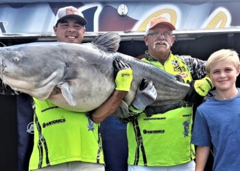 catfish, tournament, wheeler lake, Tennessee River, Decatur, AL, King Kat