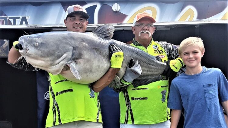 catfish, tournament, wheeler lake, Tennessee River, Decatur, AL, King Kat