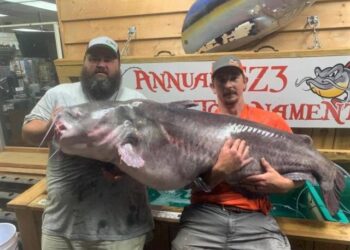 Fishing, catfishing, North Carolina, blue cat, record, certification, EZ Bait and Tackle, Biologist, SeaArk, Justin Clifton, Rocky Baker, Roanoke River