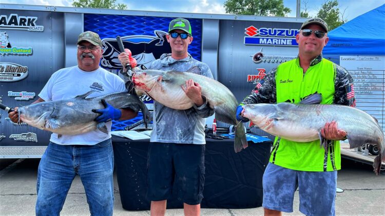 Fishing, catfish, blue catfish, flathead, channel, tournament, bumping, Cape Girardeau, MO, Missouri, Mississippi River, SeaArk Boats, BnM Poles, Driftmaster Rod Holders, Alex Nagy, Twisted Cat Outdoors, Scott Cress, Rob Benningfield, Rusty Morris