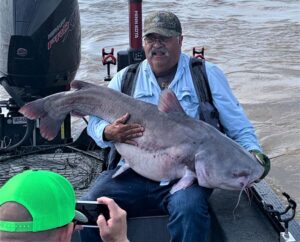 Fishing, catfish, blue catfish, flathead, channel, tournament, bumping, Cape Girardeau, MO, Missouri, Mississippi River, SeaArk Boats, BnM Poles, Driftmaster Rod Holders, Alex Nagy, Twisted Cat Outdoors, Scott Cress, Rob Benningfield, Rusty Morris