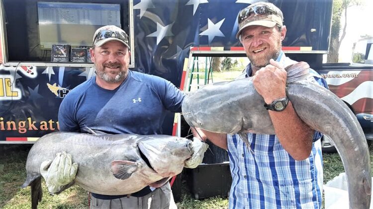 catfish, tournament, blue catfish, flatheads, channel cats, Helena, Arkansas, West Helena, Mississippi River, Cabelas King Kat